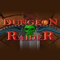Roni Games Dungeon Raider PC Game